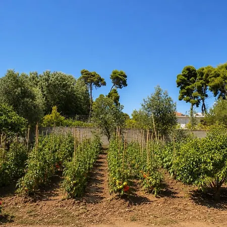 Feriehus Eka Lll Forest Vlorë